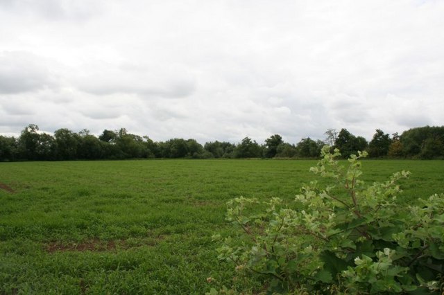 File:Towards the river - geograph.org.uk - 1422609.jpg