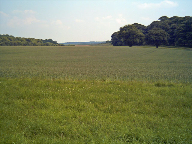 Welbeck Estate, the Dukeries - geograph.org.uk - 454074