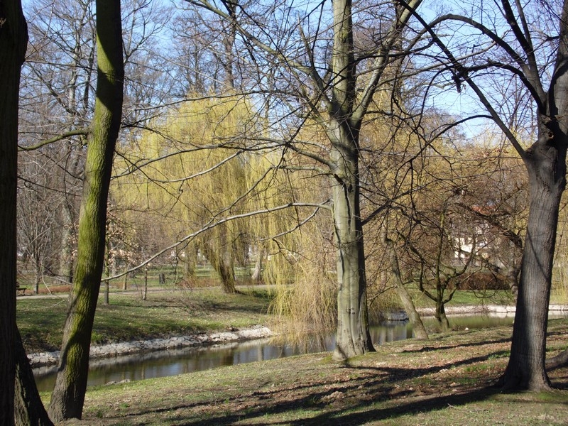 File:Wiosna wystartowała ,-)) 13 - panoramio.jpg