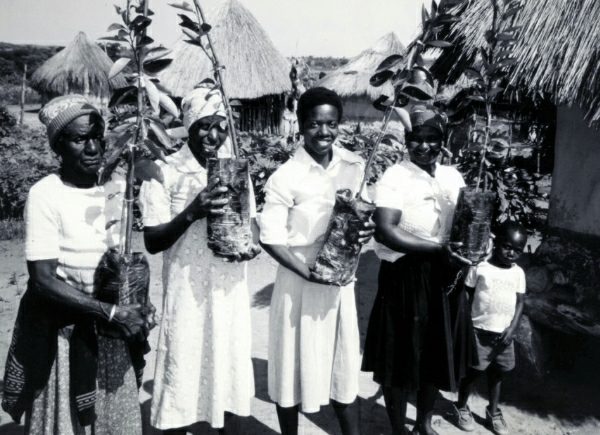 File:Women Farmers of Poti Resettlement Farm Proudly Display New Fruit Trees, Zimbabwe, 1989 (13875629823).jpg