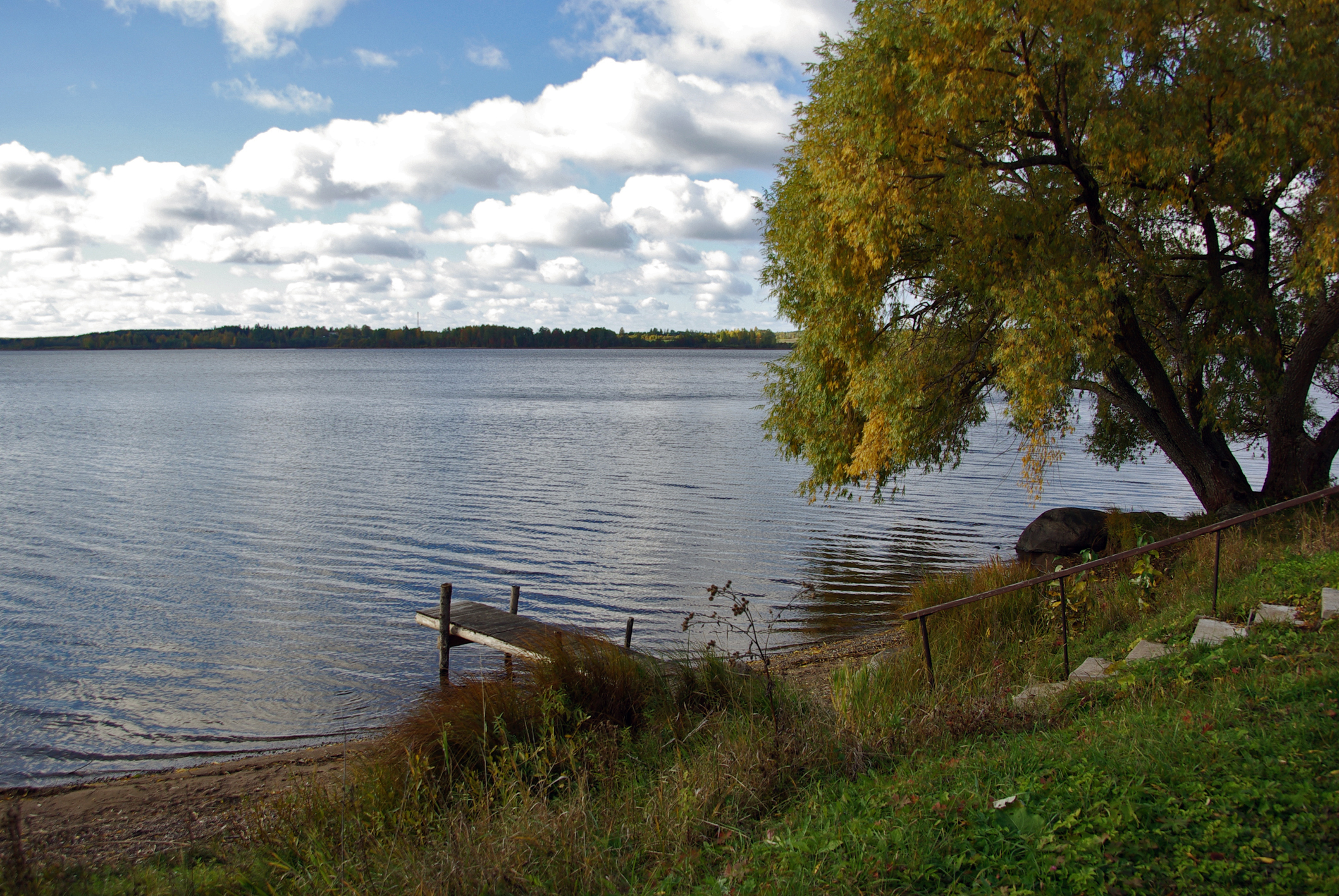 Деревня Загубье Новгородская область остров Боровно