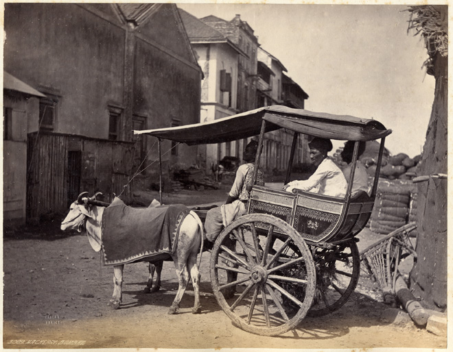 File:"Hackerry, Bombay," a photo by Francis Frith, c.1870's.jpg