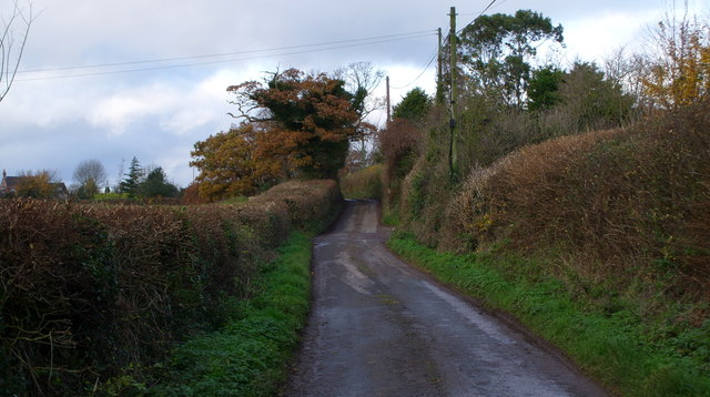 File:Bulley Lane in Autumn - geograph.org.uk - 1068022.jpg