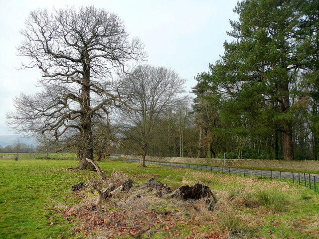 File:By Clytha Park - geograph.org.uk - 1630629.jpg