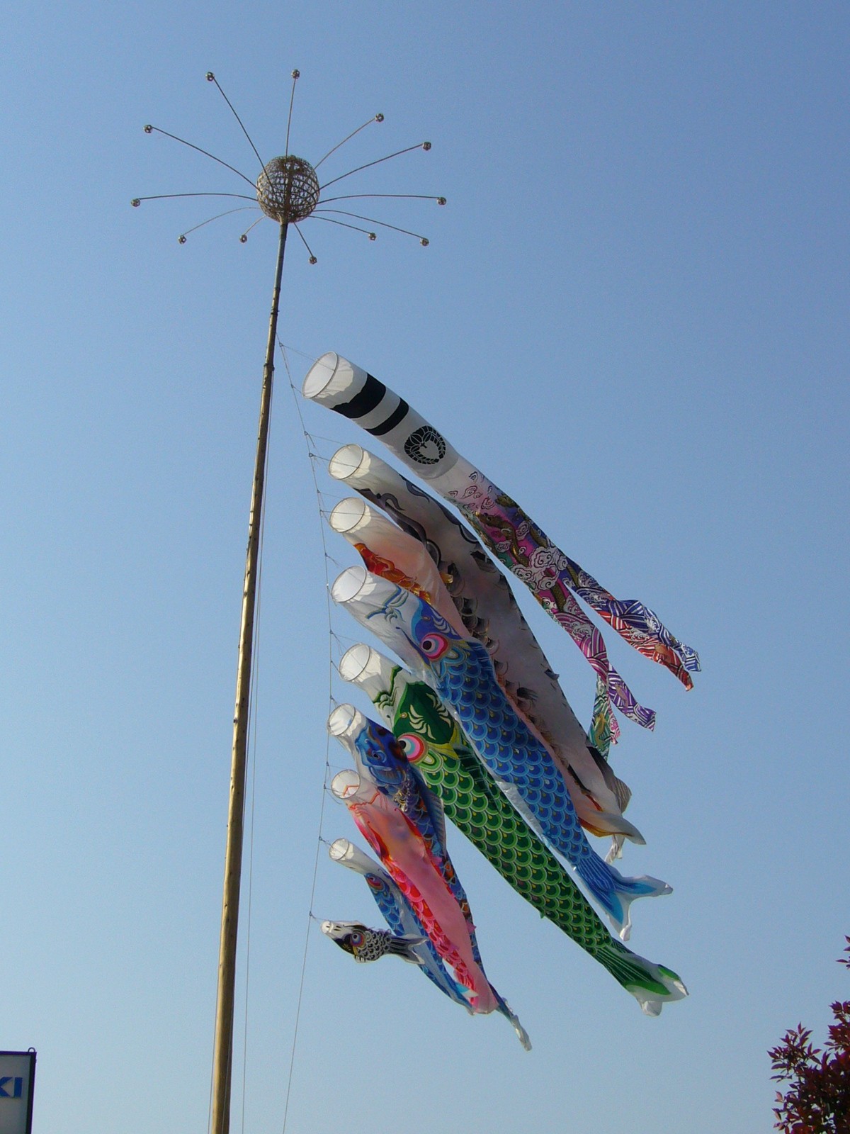 File Carp Streamer Namegata City Japan Jpg Wikimedia Commons