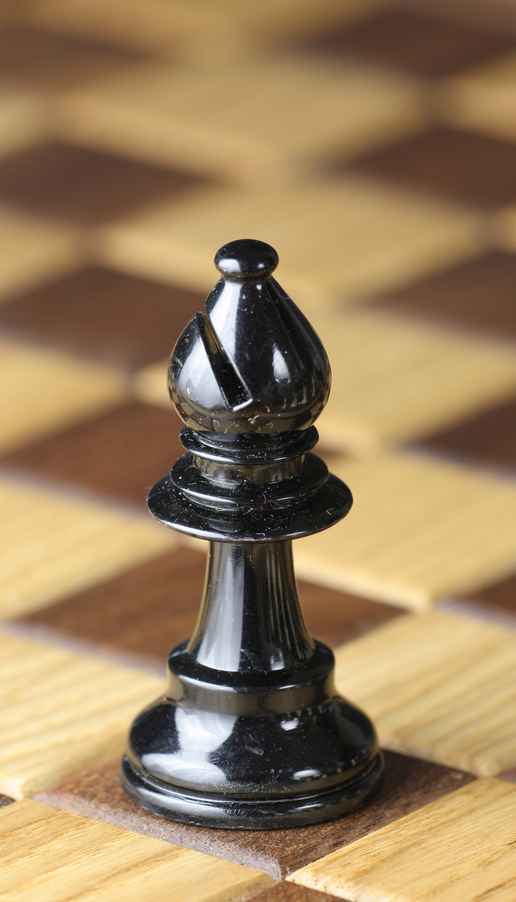 Ficheiro:Chess piece - Black bishop.JPG – Wikipédia, a enciclopédia livre