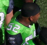 <span class="mw-page-title-main">D. D. Lewis (linebacker, born 1979)</span> American football player (born 1979)