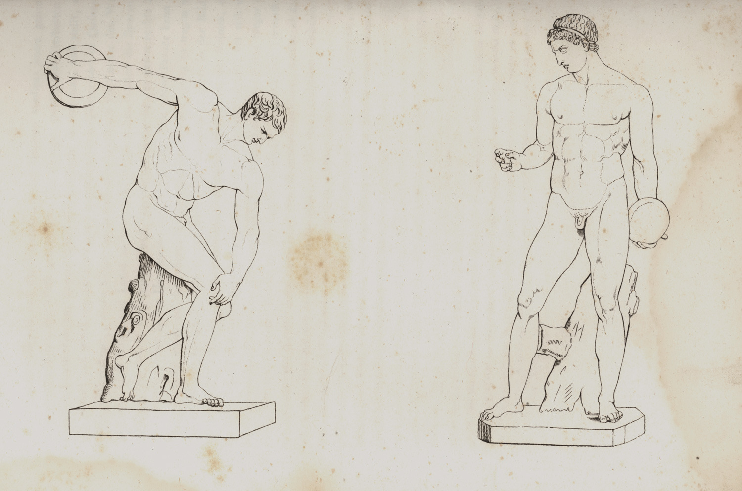 discobolus drawing