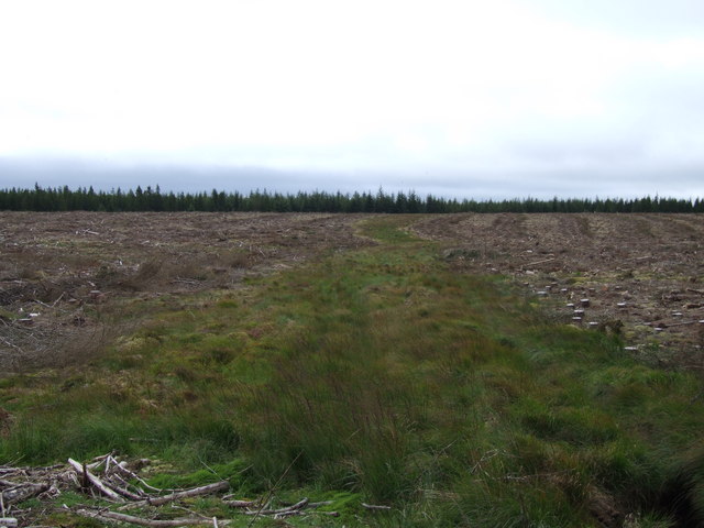 File:Drowningholes Sike - geograph.org.uk - 535185.jpg