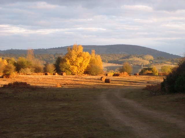 Ewyas Harold Common - geograph.org.uk - 71637