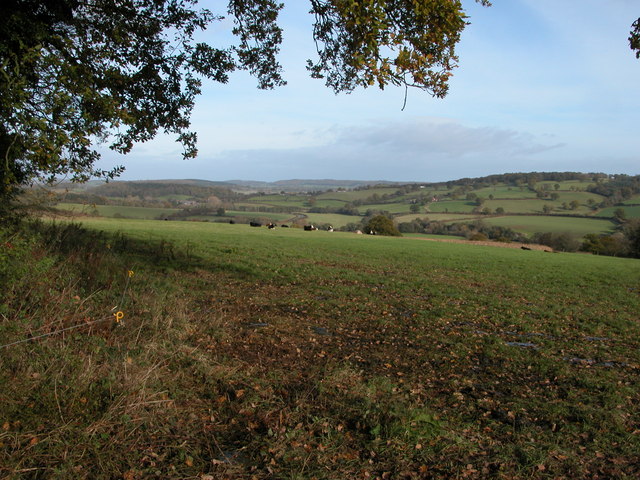 File:Farmland to the south of Llangua - geograph.org.uk - 276770.jpg