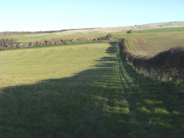 File:Field and hedgerow - geograph.org.uk - 1041773.jpg