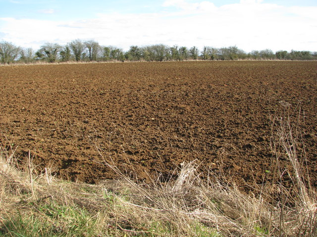 File:Field by Great Larkhill Farm - geograph.org.uk - 1747440.jpg