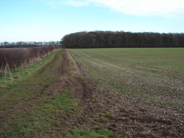 Footpath to Irby Dales Wood - geograph.org.uk - 1123804