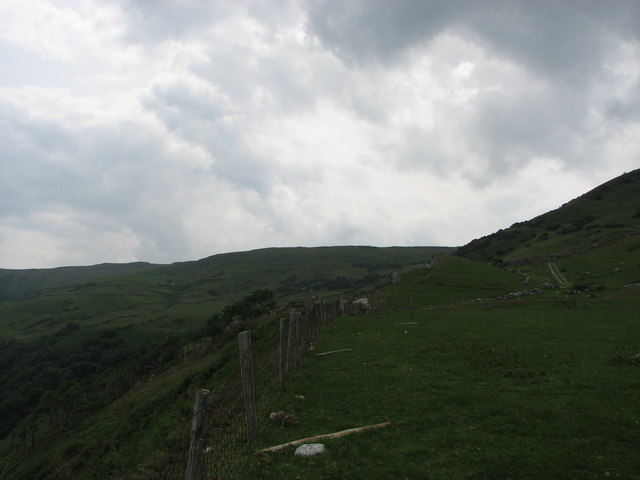 File:Hill-side at Loughan - geograph.org.uk - 1940412.jpg