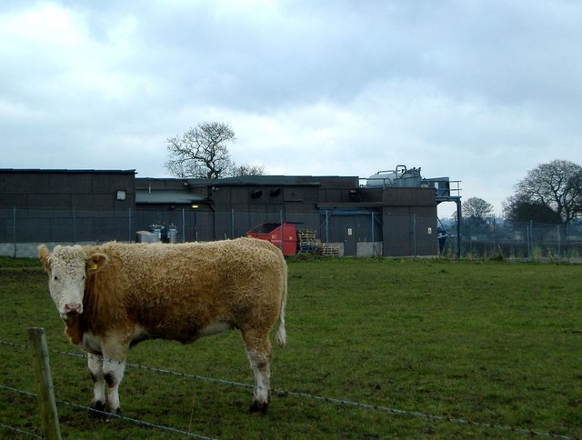 Hockenhull Hatchery, Hockenhull - geograph.org.uk - 129282