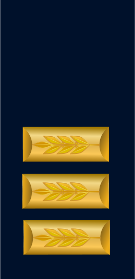 File:IDF Navy seren.png