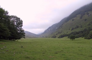 Yosa de Viango, Llanes