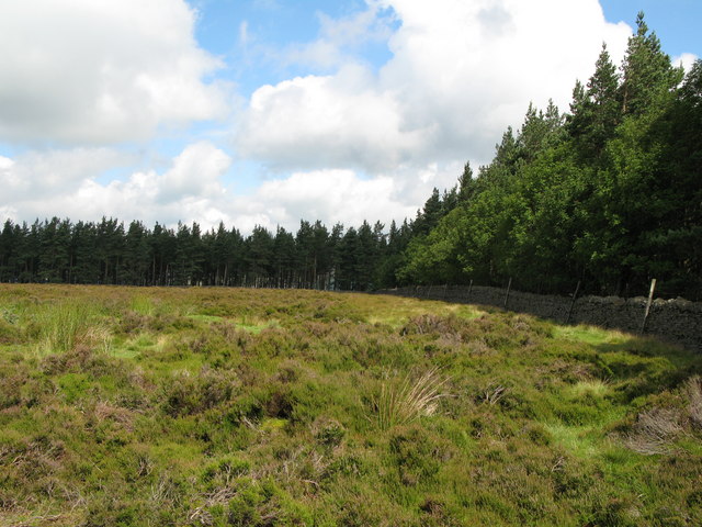 File:Moorland and plantations near Cocklake - geograph.org.uk - 505458.jpg