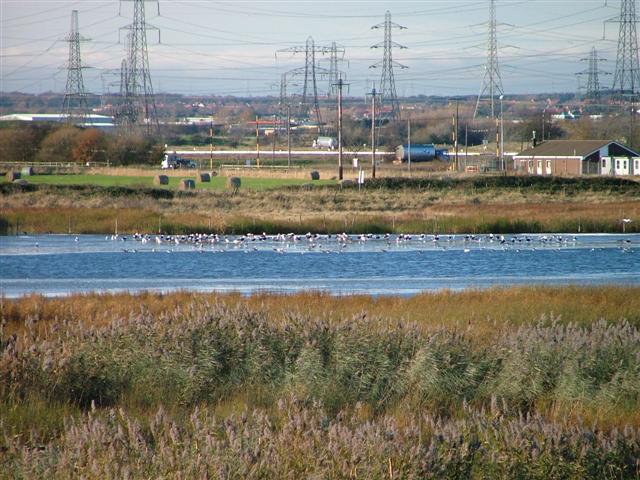 File:North Tees Nature Reserve - geograph.org.uk - 88745.jpg