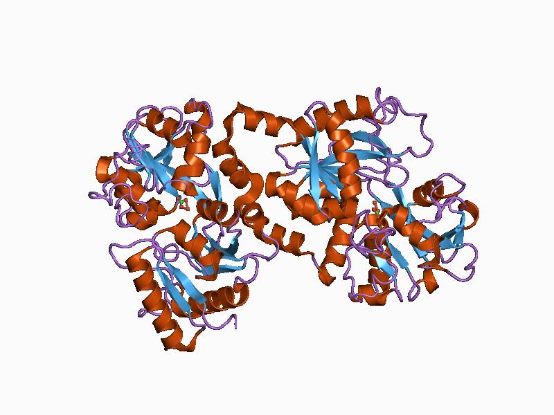 File:PDB 1b0l EBI.jpg