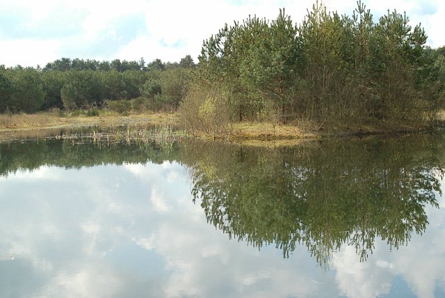 File:Pond island - geograph.org.uk - 787855.jpg