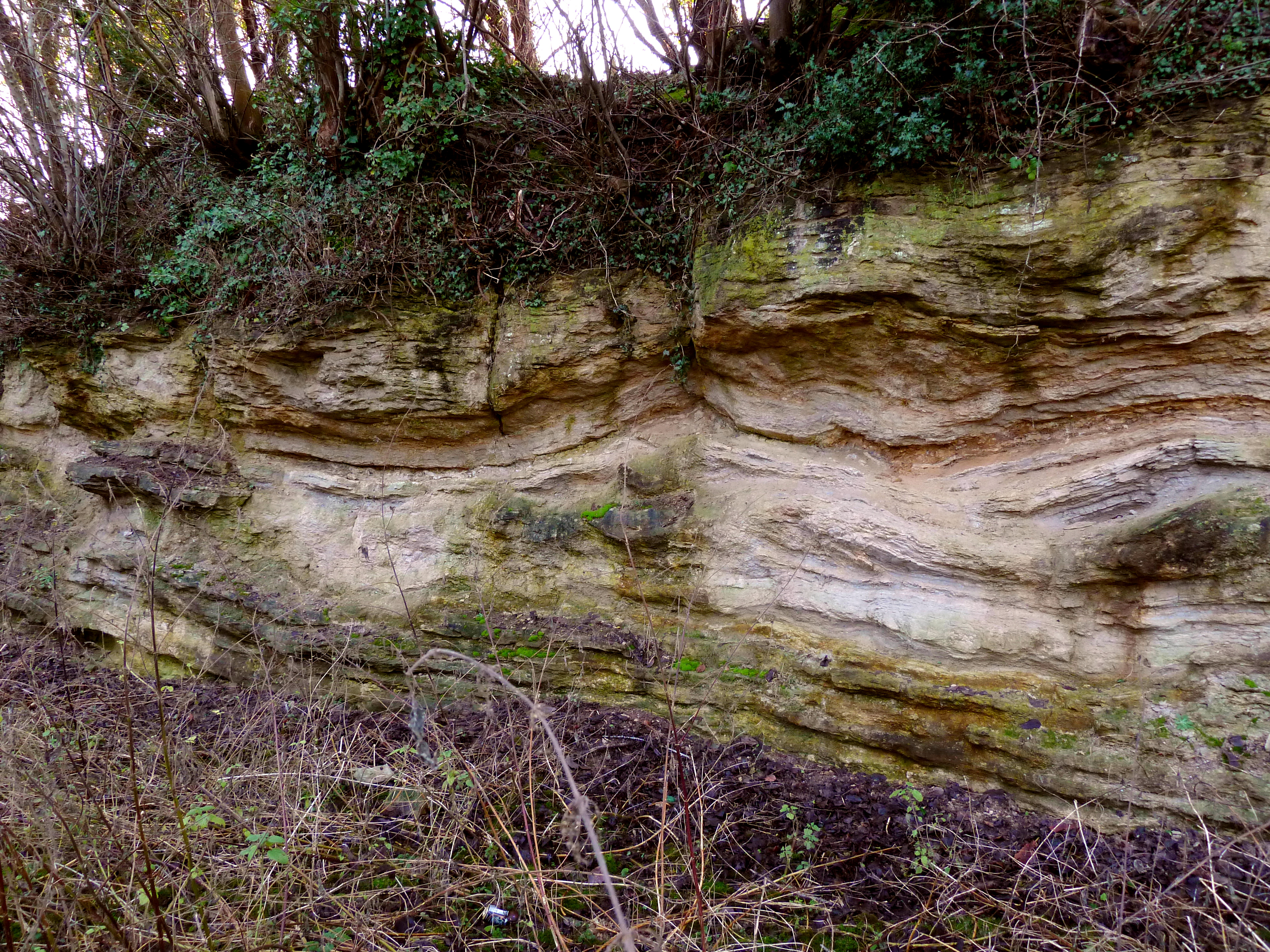 Quarry Moor