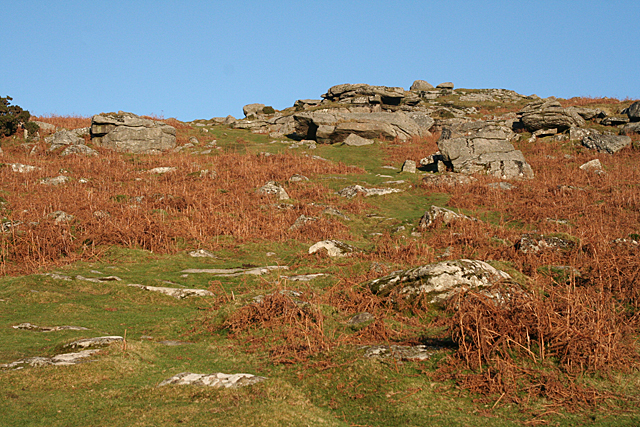 Sheepstor, way to the tor - geograph.org.uk - 2175546