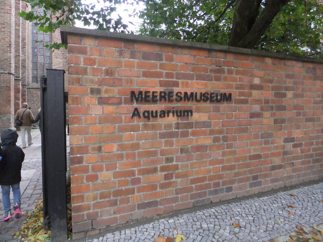 File:Stralsund - Eingang Meereskundemuseum - geo.hlipp.de - 28410.jpg