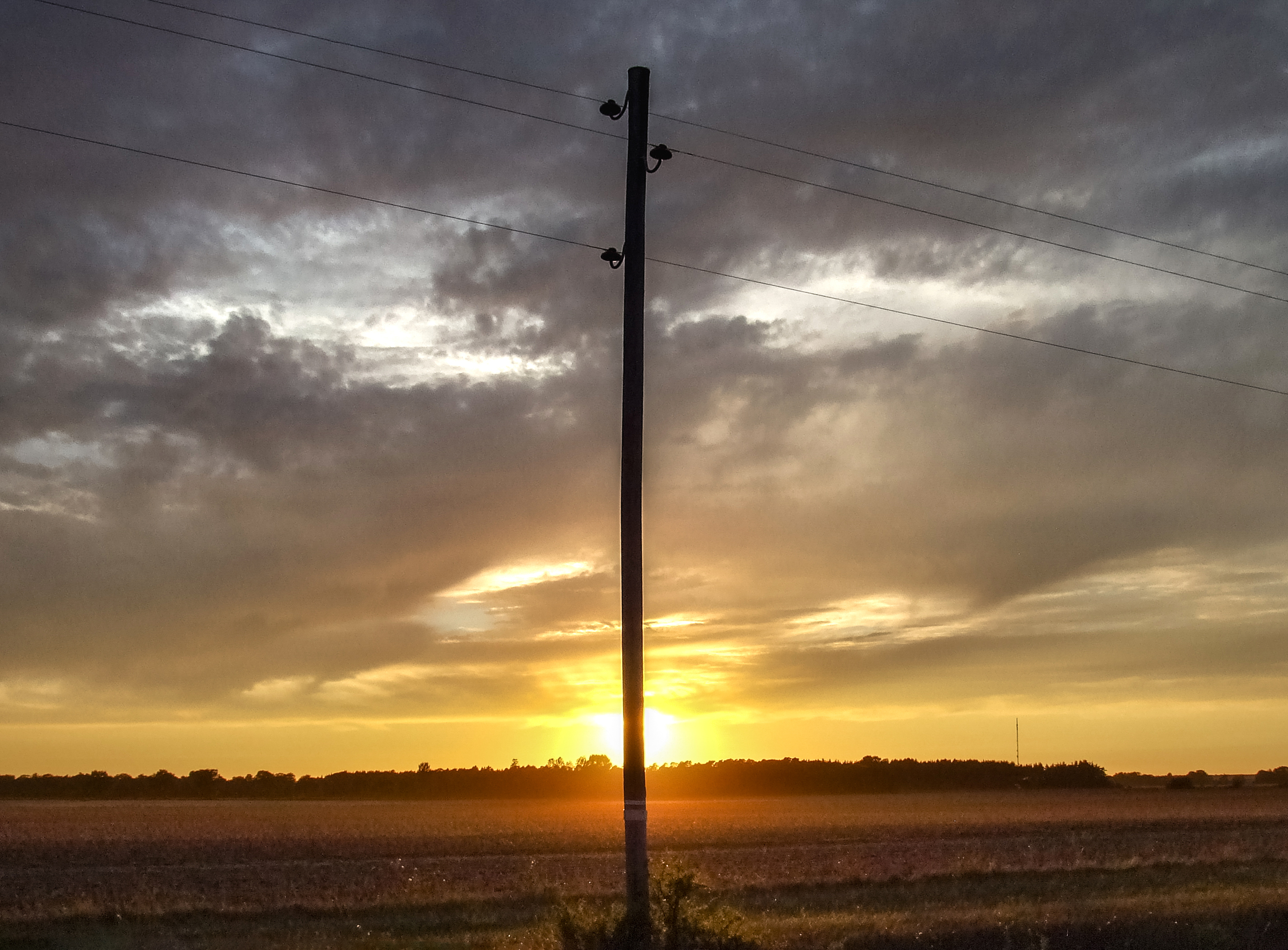 Two poles. Telephone Pole.