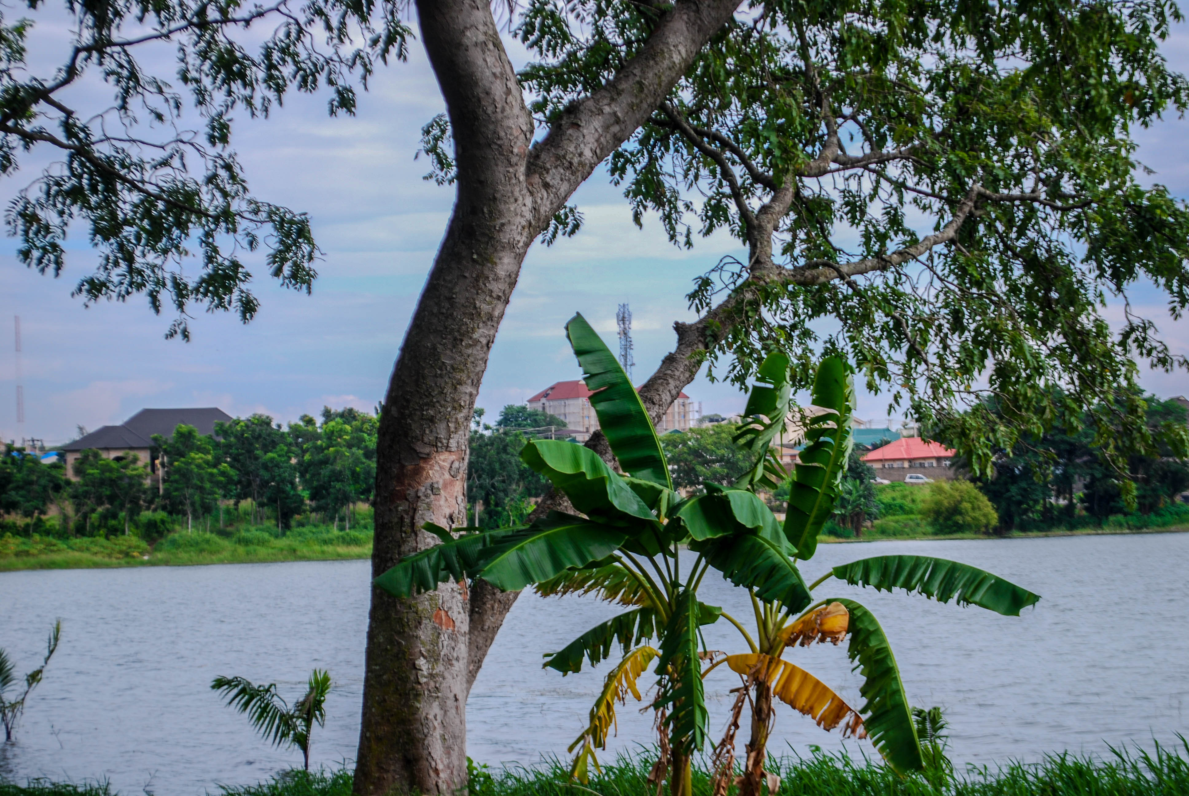 waterview ilorin during valentine's day