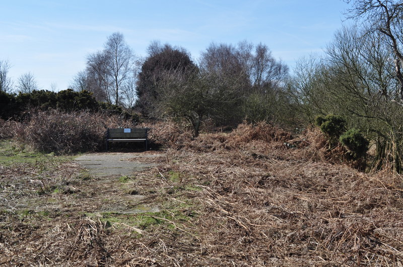 File:Walberswick Station site - geograph.org.uk - 1758847.jpg