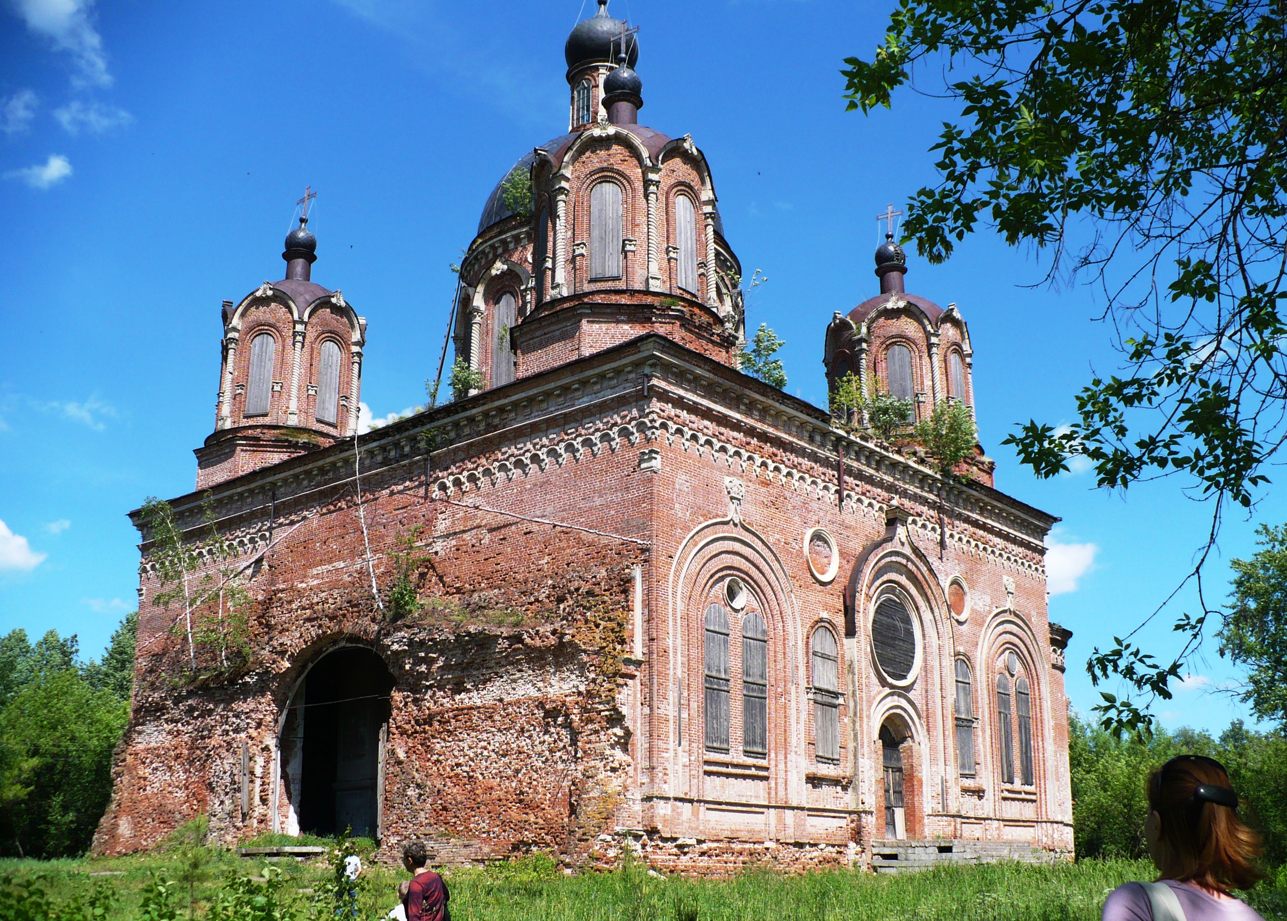 Салобеляк кировская область