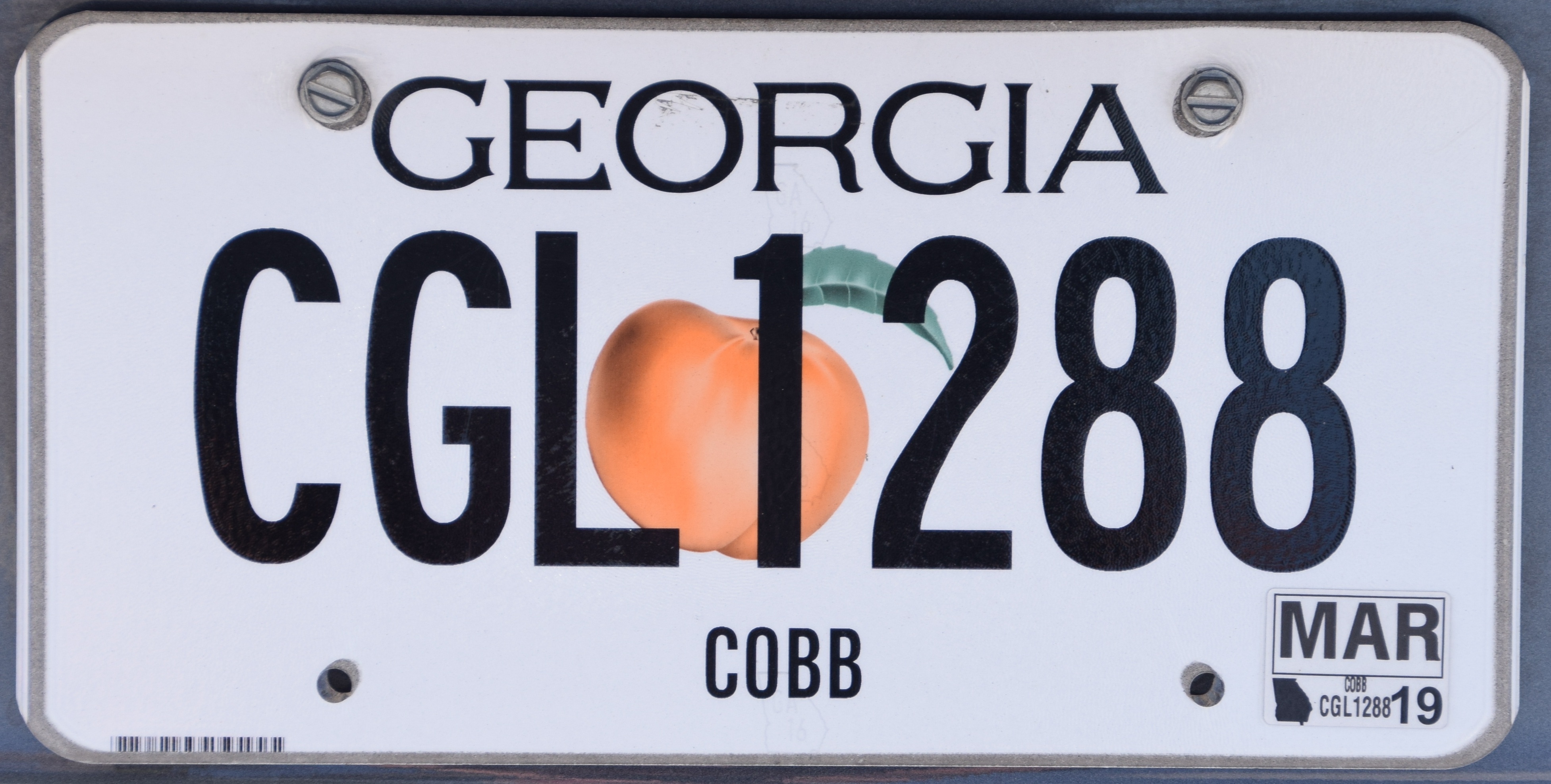 The best (and worst) specialty license plates for fish lovers