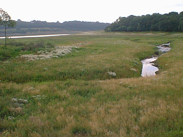 An Empty Chapel Bay Showing River Amber - geograph.org.uk - 298004