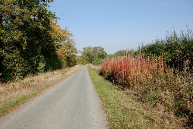 File:Autumn Colours Begin To Show - geograph.org.uk - 2632843.jpg