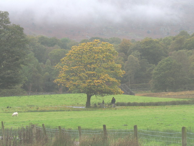 File:Autumn Visitors to Gelert's Grave - geograph.org.uk - 265305.jpg