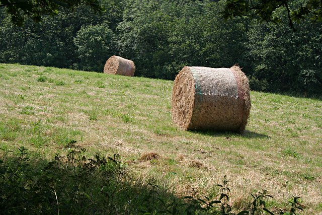 File:Bales between road and river - geograph.org.uk - 197262.jpg