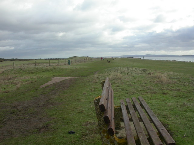 File:Barton on Sea, benches - geograph.org.uk - 1634963.jpg