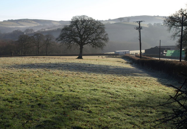 File:Beside Frankford Lane - geograph.org.uk - 1736321.jpg