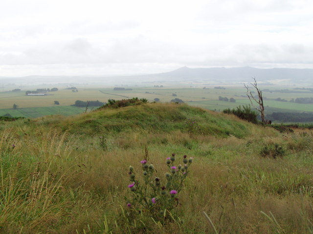 File:Black Cairn from North - geograph.org.uk - 909765.jpg