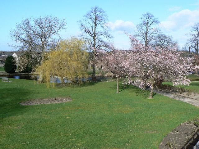 File:Blossom in the park - geograph.org.uk - 371227.jpg