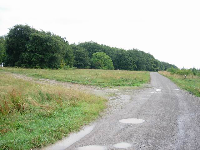 File:Bridleway - geograph.org.uk - 207290.jpg