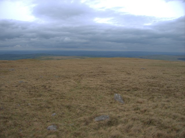 File:Cefn Disgwylfa - geograph.org.uk - 172026.jpg