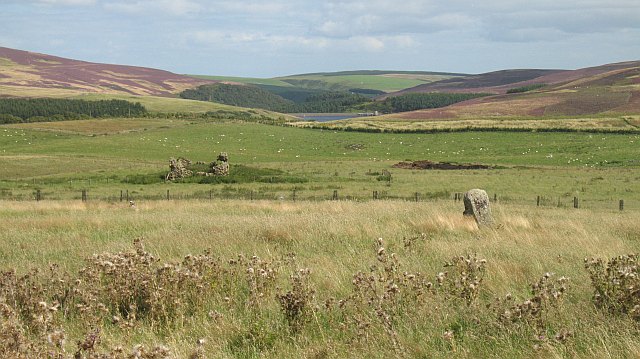 File:Chapel Stone - geograph.org.uk - 1627527.jpg