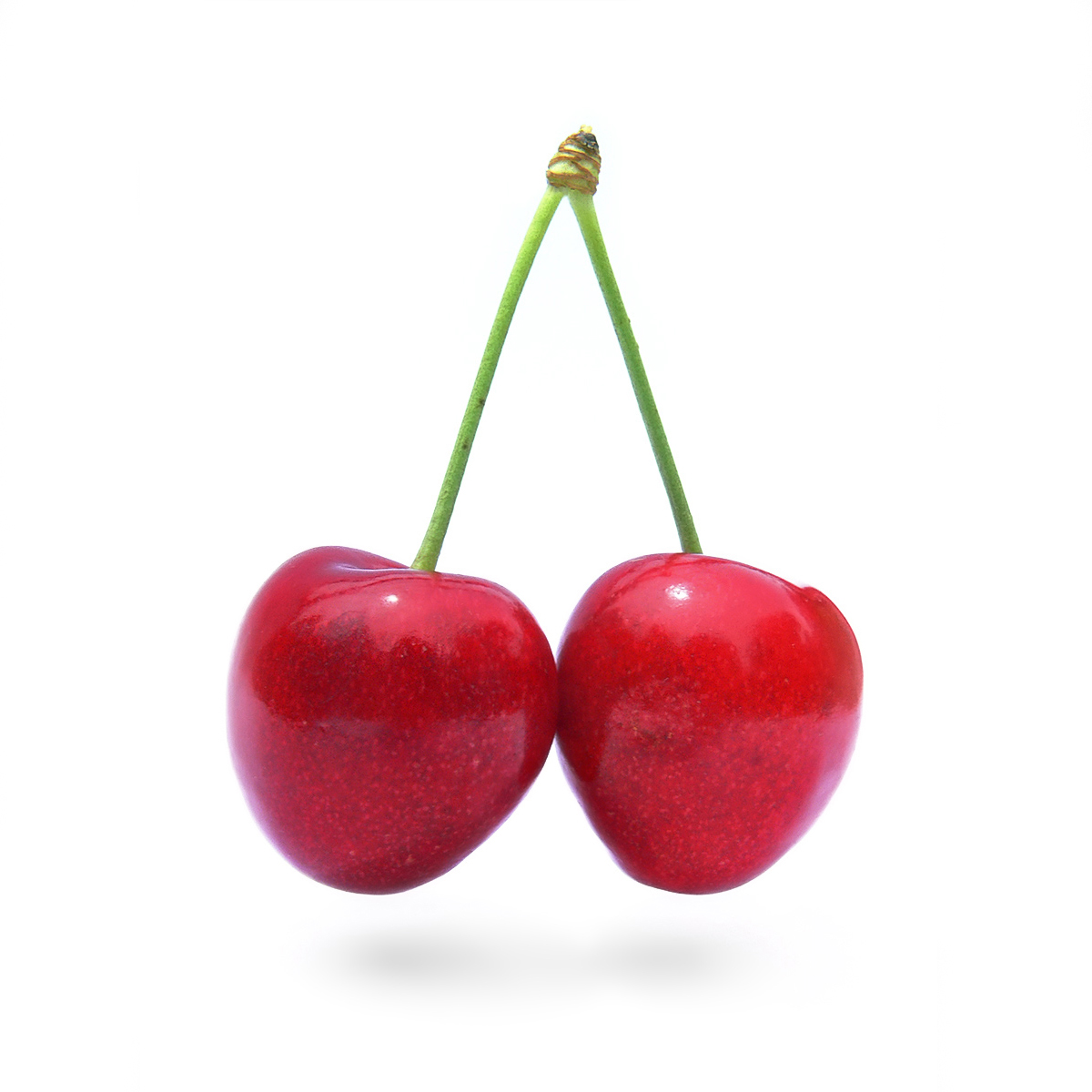 Cherry Wikipedia