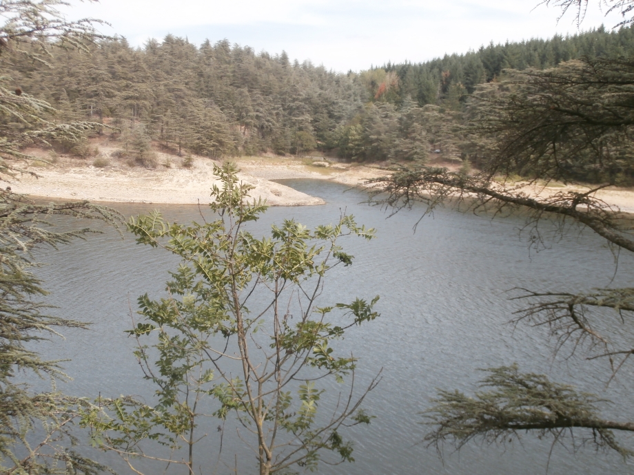 Chemin du Lac Meech