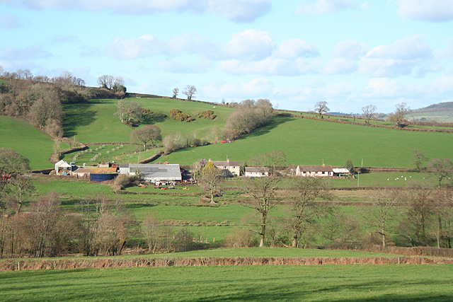 File:Colyton, in the Coly valley - geograph.org.uk - 350697.jpg