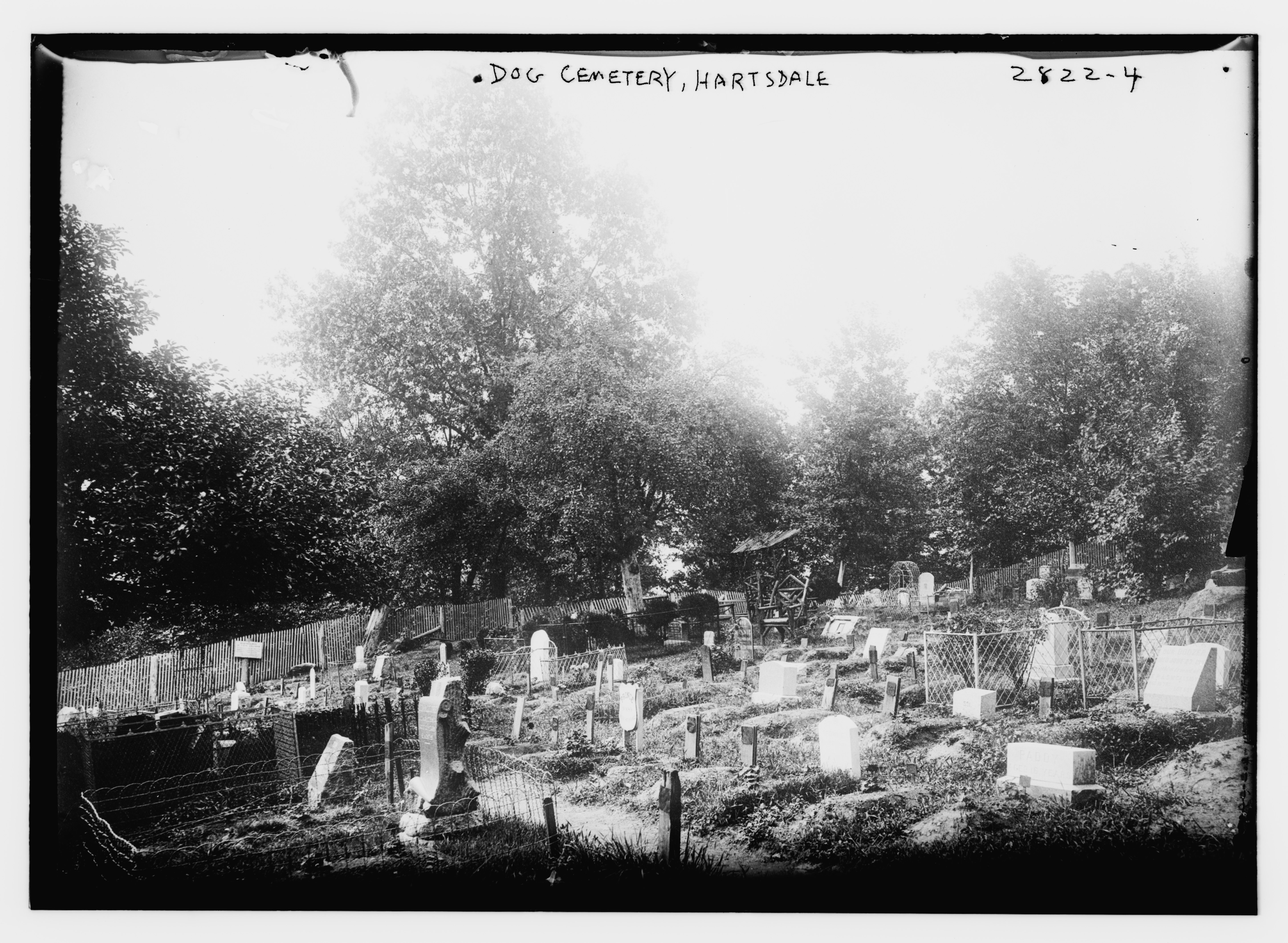 Hartsdale Pet Cemetery - Wikipedia