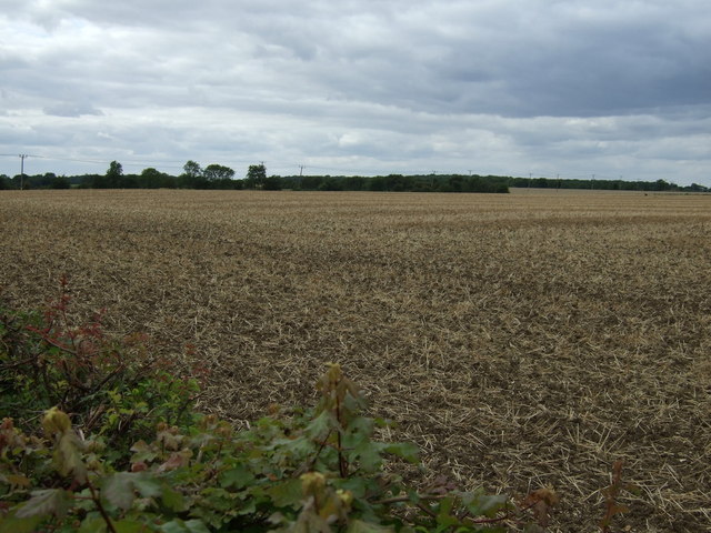 File:Farmland, Lodge Farm - geograph.org.uk - 4125572.jpg